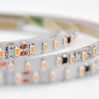 1808 240 LEDs Flexible Strip 24V