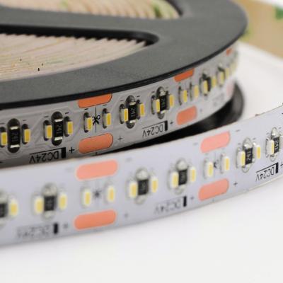 1808 300 LEDs Flexible Strip 24V