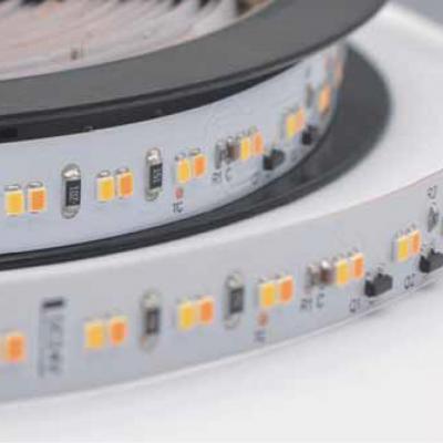 Ra>90 224 2216 LEDs/M WW-CW