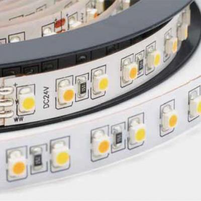 3528 120LEDs  WW-CW Flexible Strip 24V