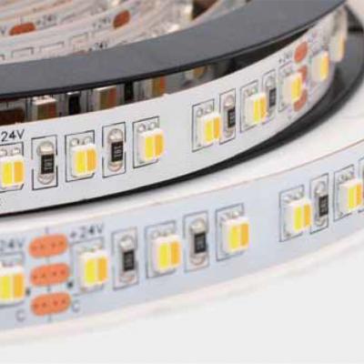 3528 2-in-1 120LEDs  WW-CW Flexible Strip 24V